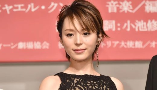 平野綾は2023年現在ミュージカル女優で評価が高い！声優を引退しているという説は本当？